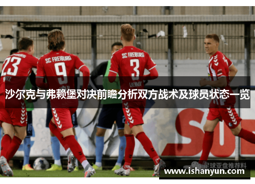 沙尔克与弗赖堡对决前瞻分析双方战术及球员状态一览